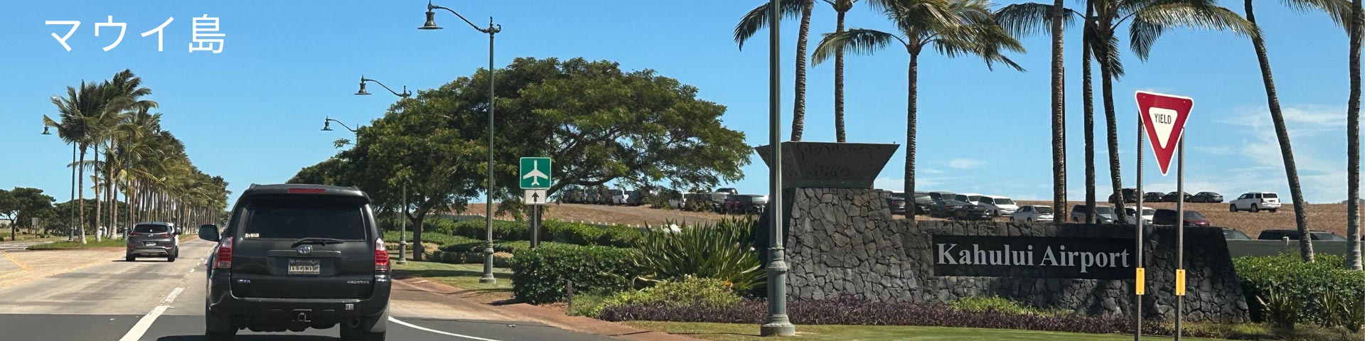 Maui Avis