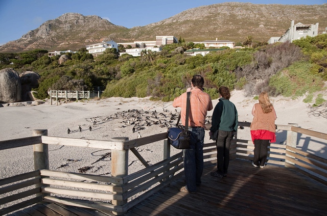 Boulders beach