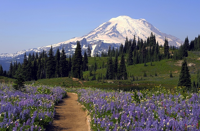 Mount Rainier National Park