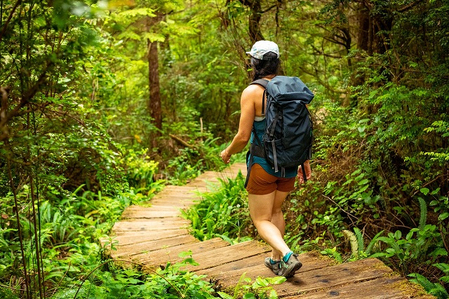 Olympic National Park