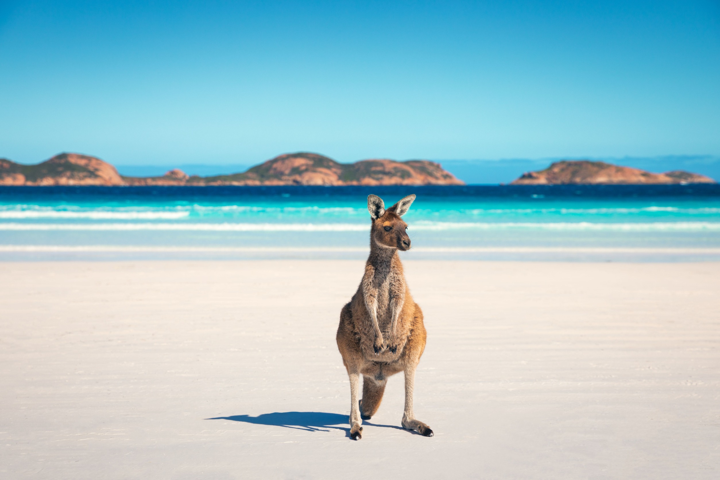Lucky Bay (Esperance)