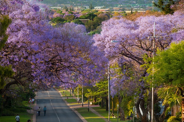 Pretoria