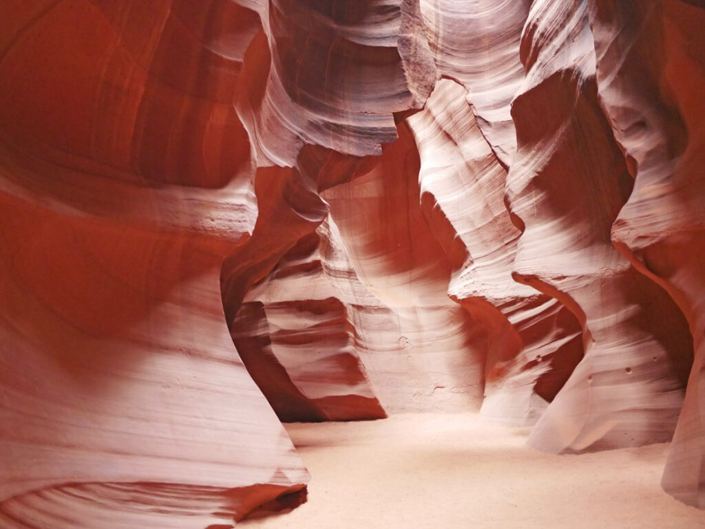 antelope tour 