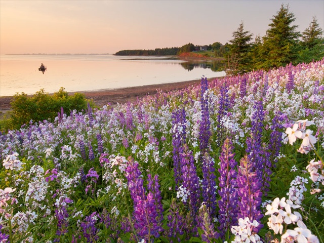 Prince Edward Island