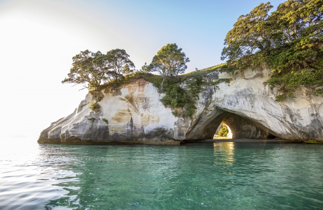 Coromandel