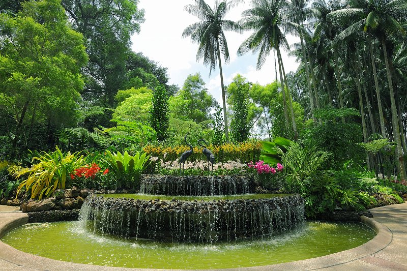 Singapore Botanic Gardens