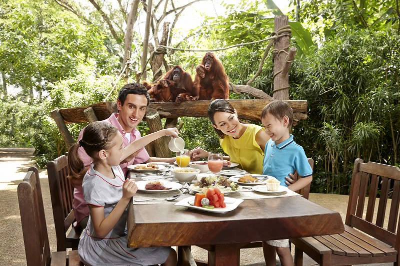 Singapore Zoo / Mandai Wildlife Reserve