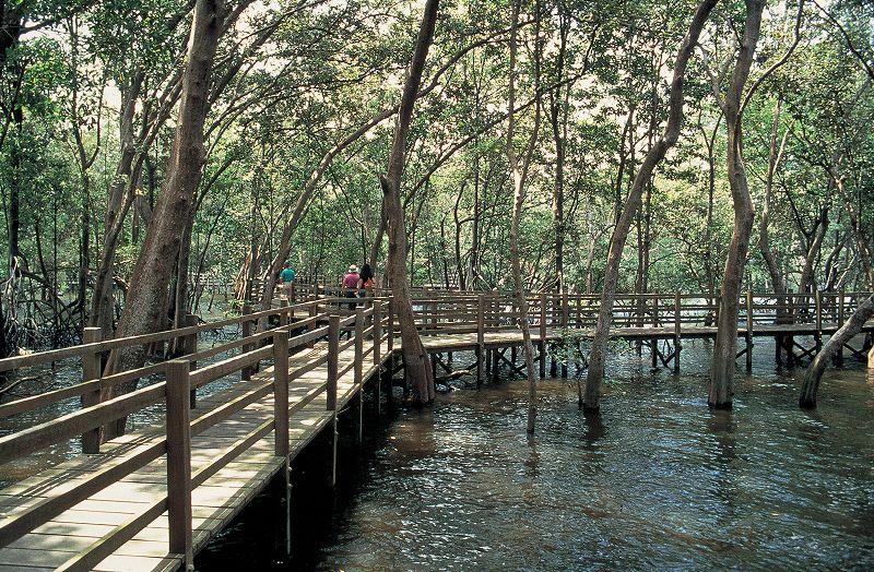 Sungei Buloh Wetland Reserve