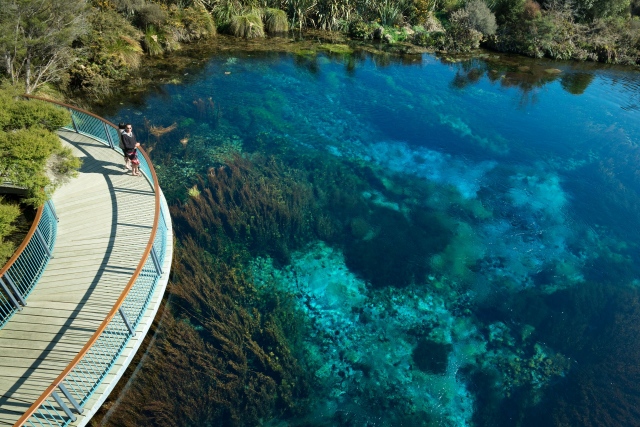 Te Waikoropupu Springs