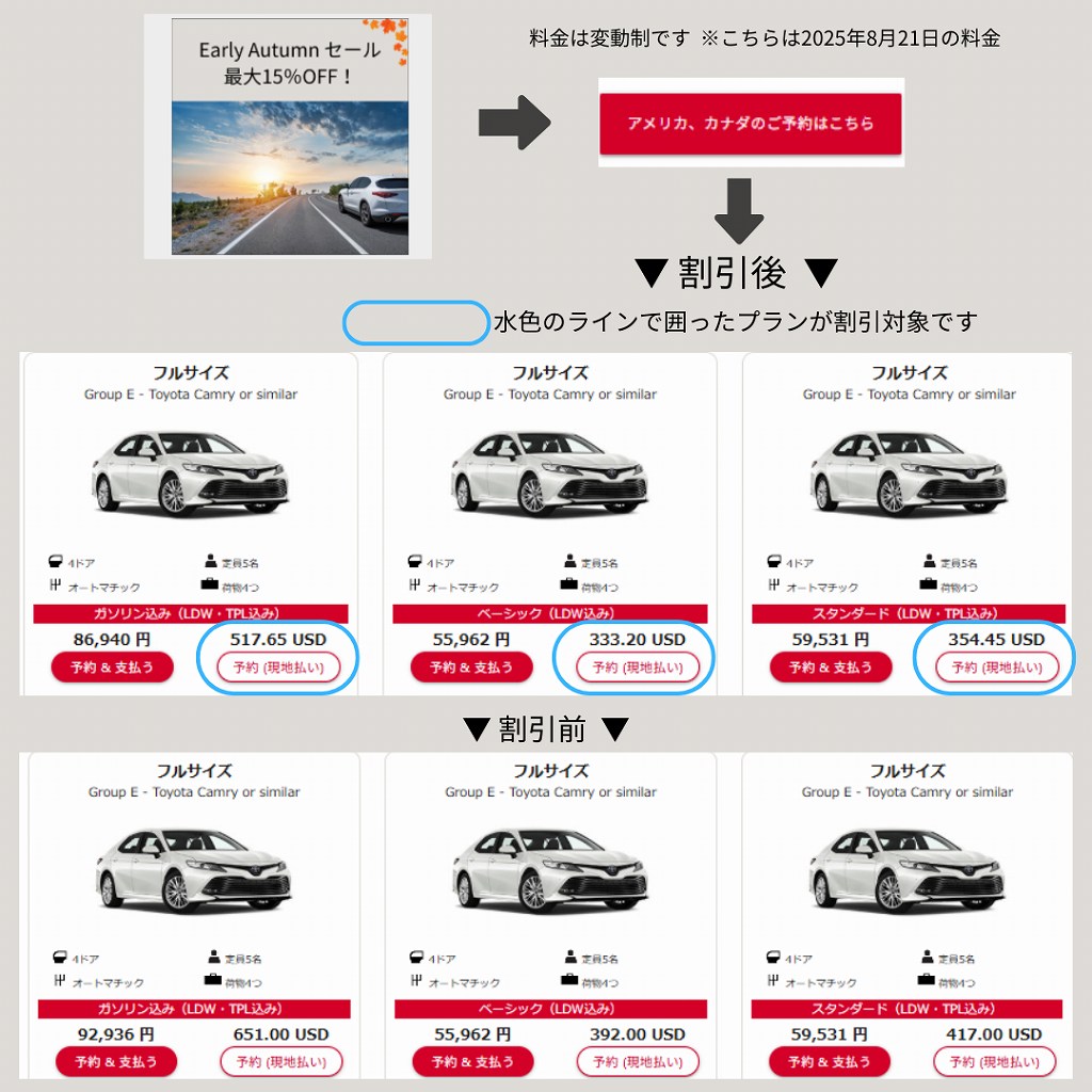 AVIS Early Autumn Sale 2025 料金について