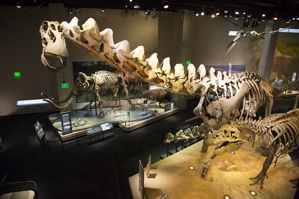 Perot Museum of Nature & Science