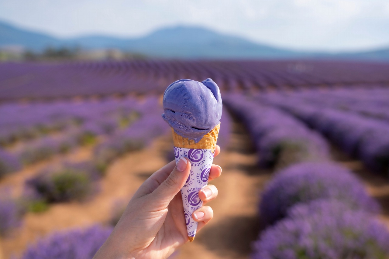 Bridestowe Lavender Estate