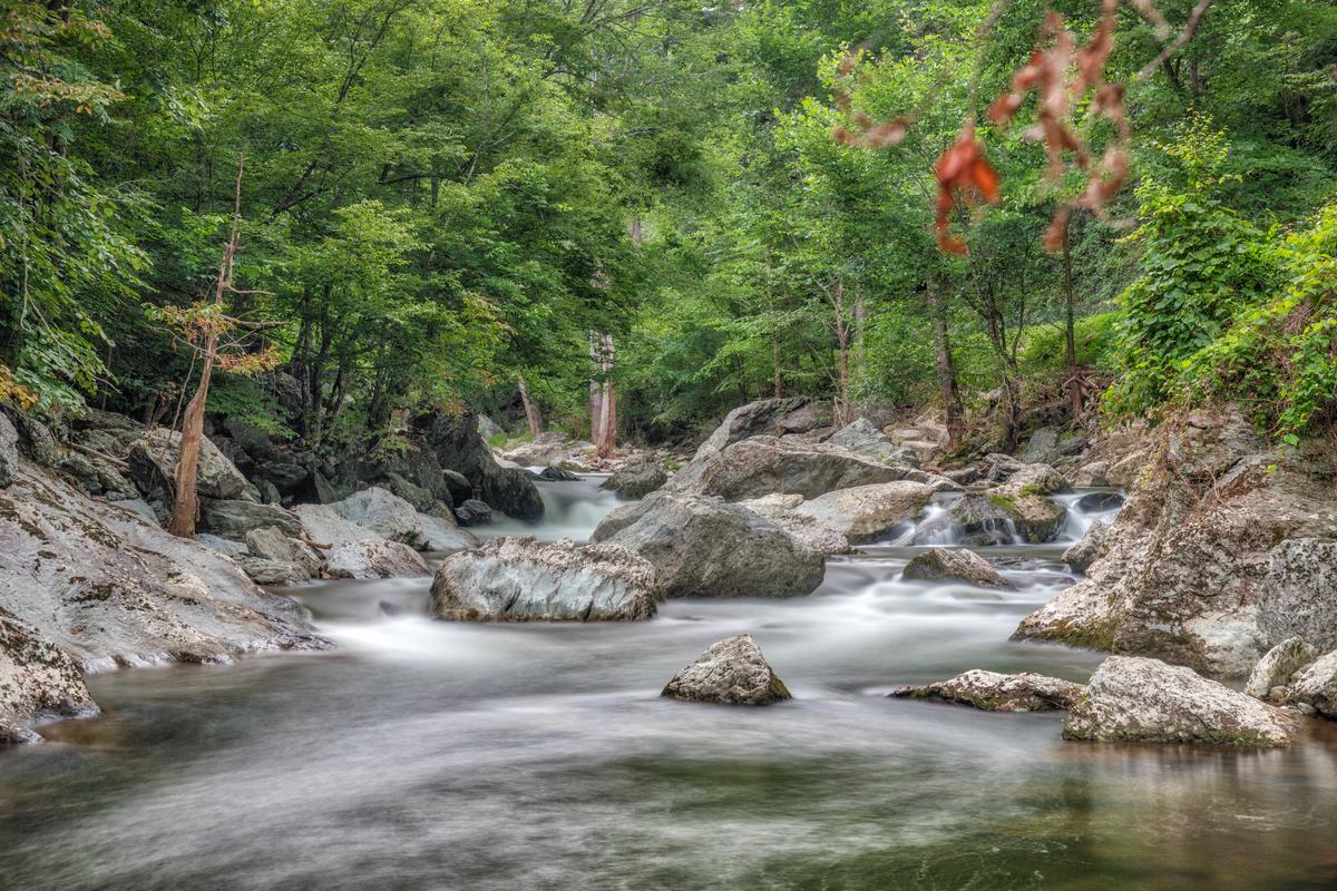 Cades Coves
